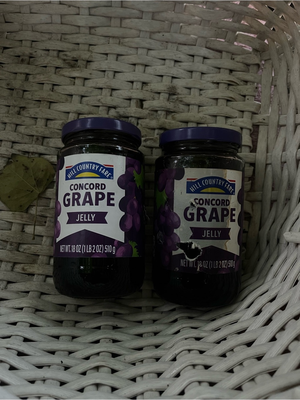 Concord Grape Jelly - Purple